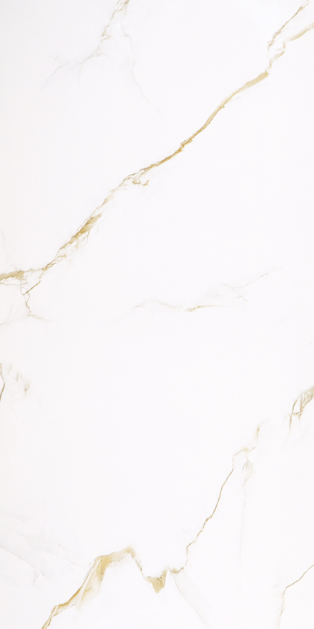 Изображение товара Керамогранит Агат 15 Golden Carrara 60x120 см для интерьера