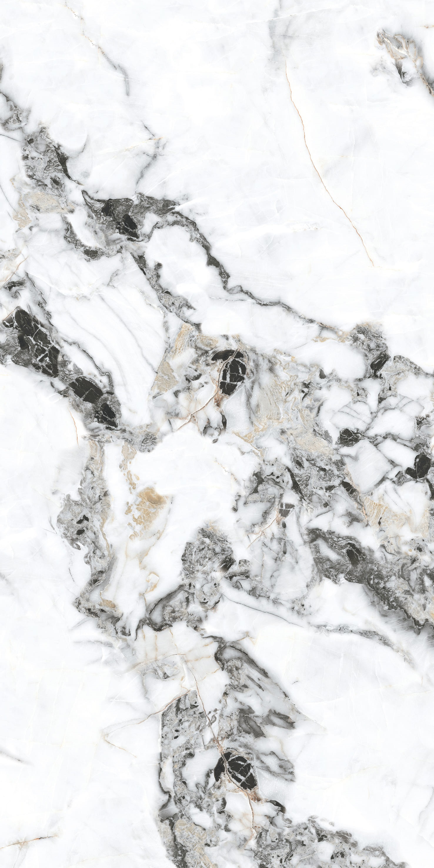 Изображение товара Керамогранит BASCONI HOME Bianco Gold-5 600x1200мм мраморный эффект белый