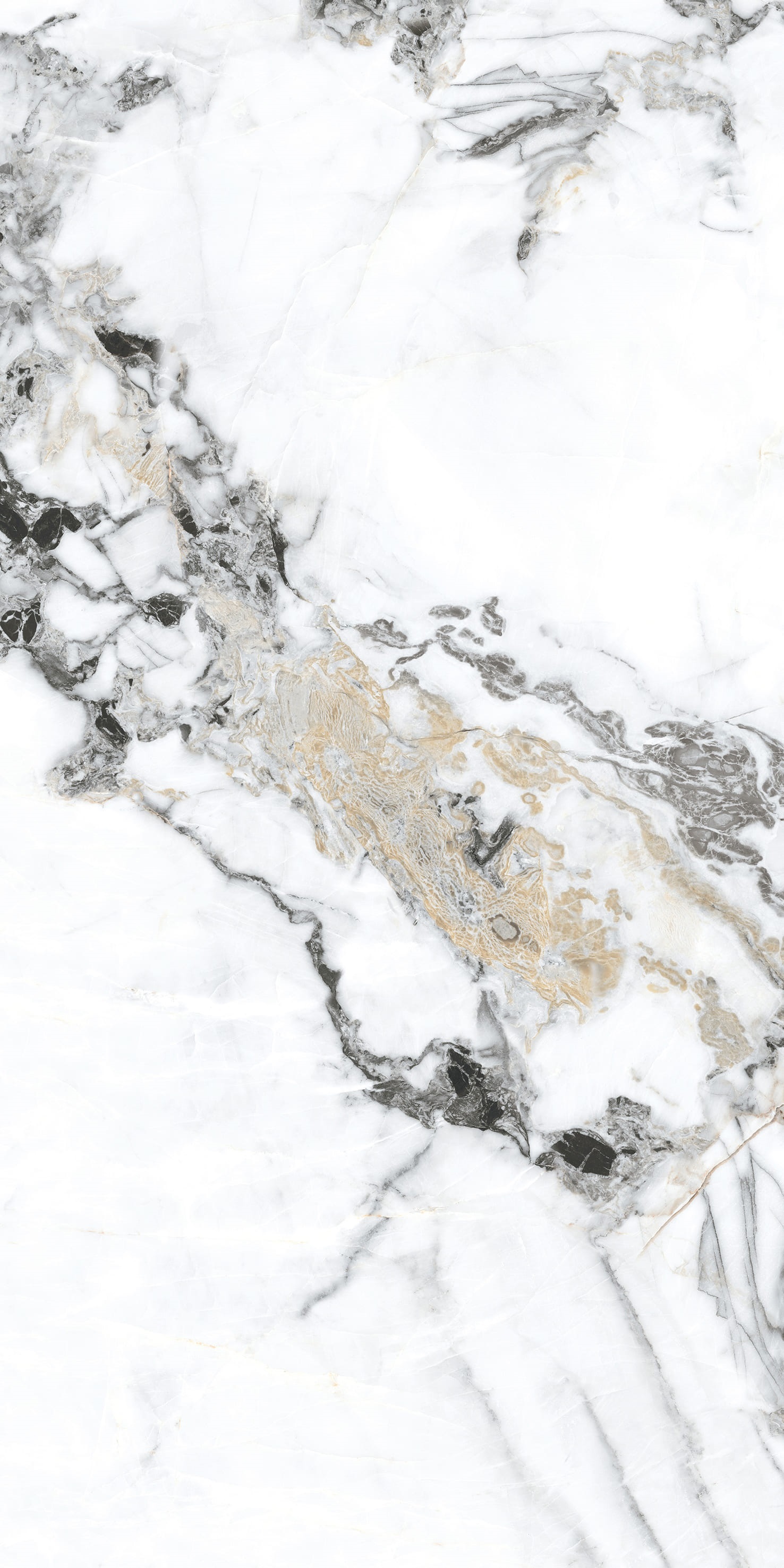 Изображение товара Керамогранит BASCONI HOME Bianco Gold 1 600x1200 мм глянцевый для пола и стен