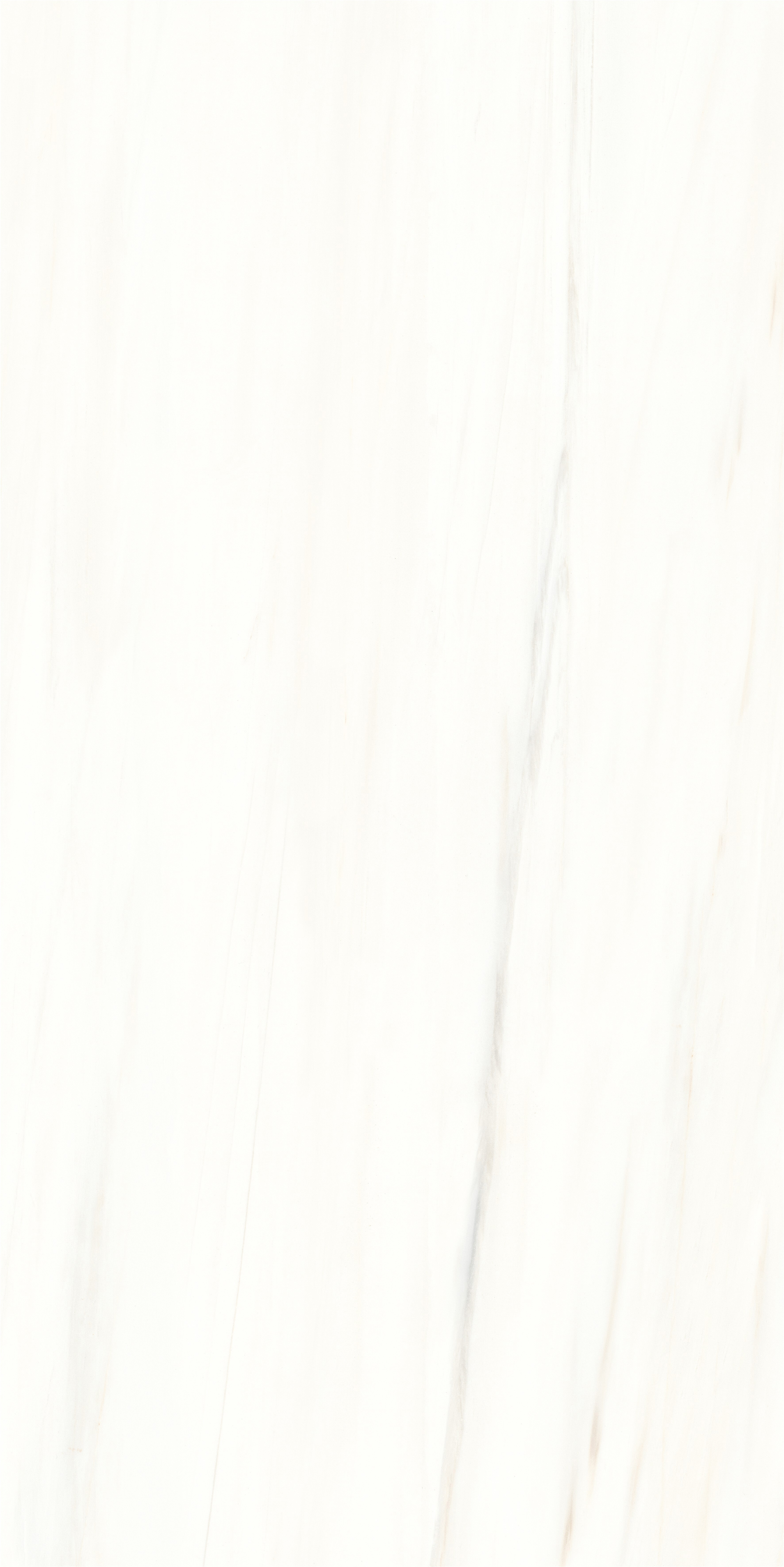 Изображение товара Керамогранит Monalisa Marbles 5.5 CBP5688M 60x120см 2.88 м² цвет белый с серыми прожилками