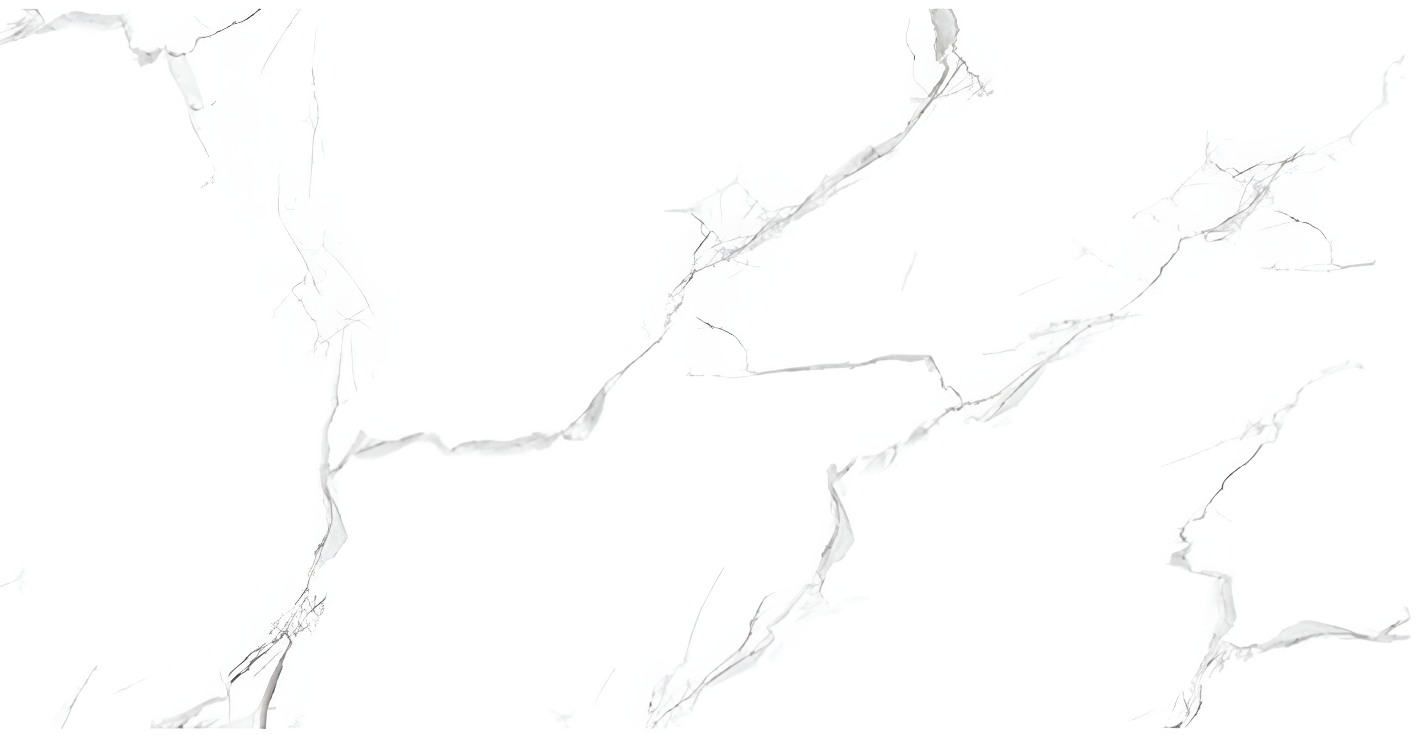 Изображение товара Керамогранит Pardis Ceramic Pazh Carrara GP7673 60x120 см белый