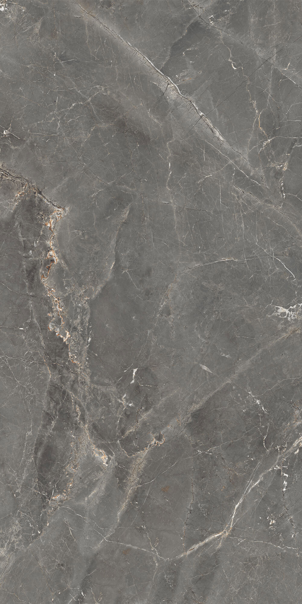 Изображение товара Керамогранит Tulip_GT 120x60 см темно-серый, полированный, для интерьера и экстерьера