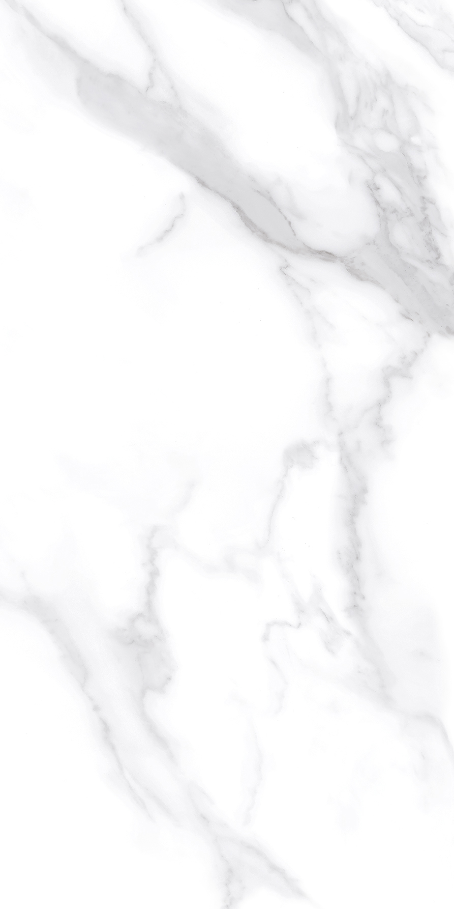 Изображение товара Настенная плитка Kerlife Calacatta Bianco 31.5x63 см глянцевая, Россия