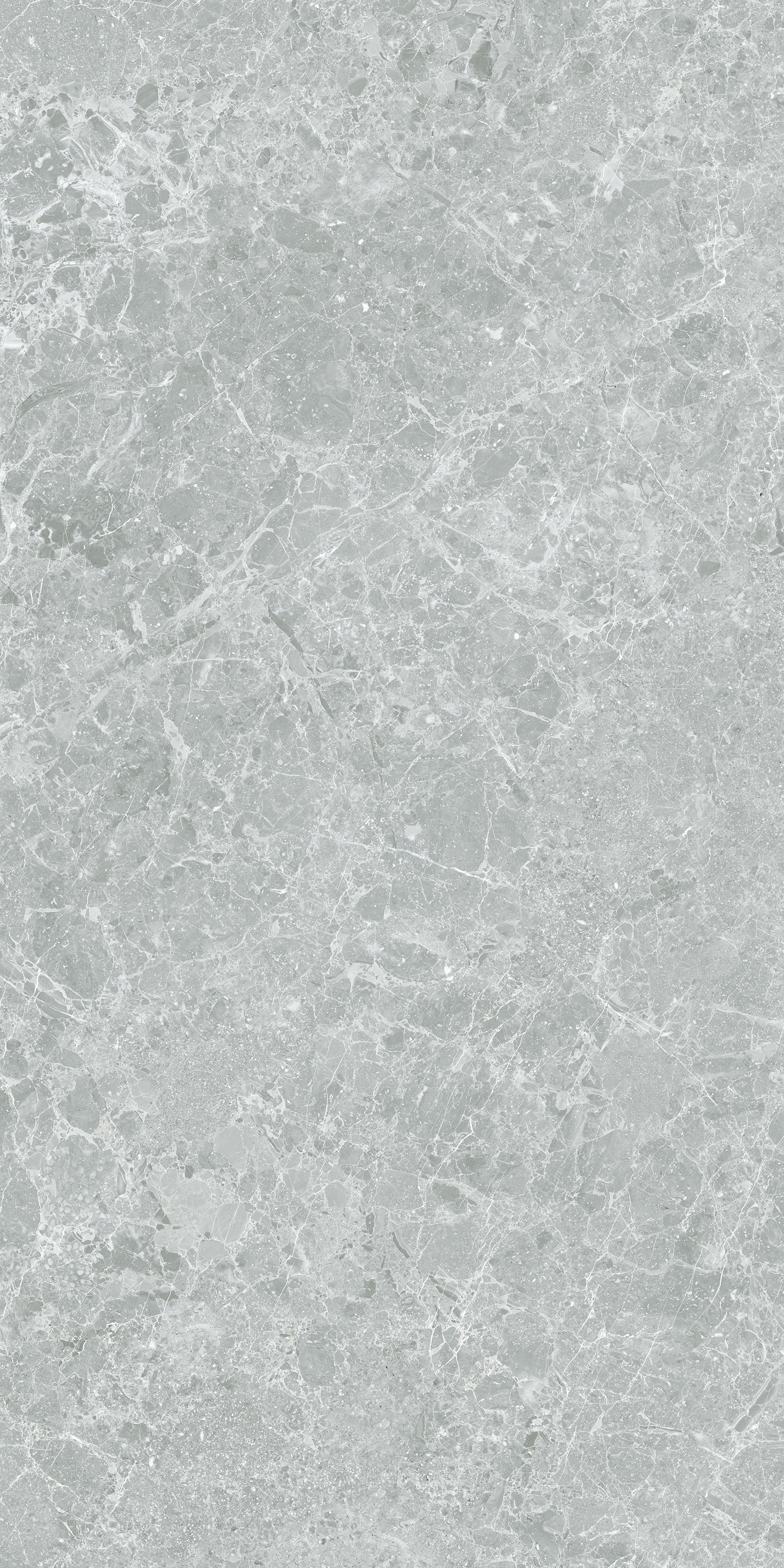 Изображение товара Керамогранит Stn ceramica Charisma P.E. 3DB CHARISMA GREY MT 60X120 RECT