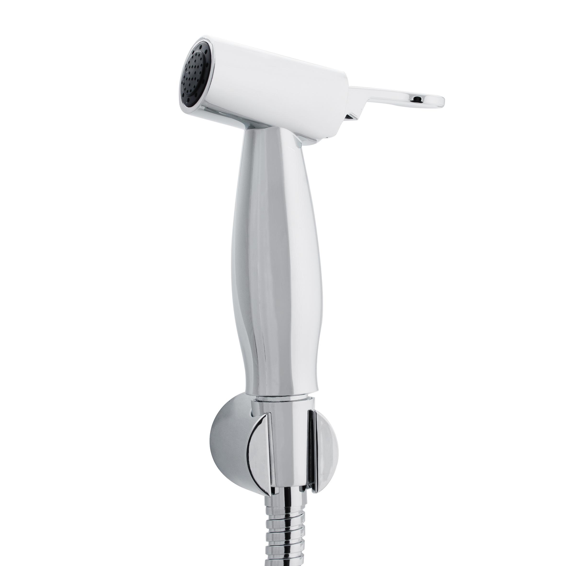 Изображение товара Гигиеническая лейка Swedbe Calypso 5023 с 2 режимами и хромированным покрытием
