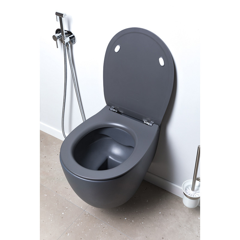 Изображение товара Крышка-сиденье для унитаза Allen Brau Fantasy Smartfix Soft-Close 4.11005.AN антрацит