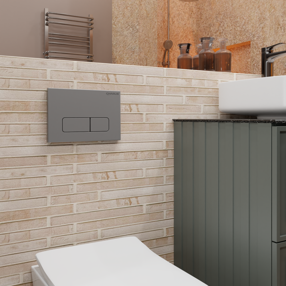 Изображение товара Панель смыва Charus FP.320.46.01 цвет серый