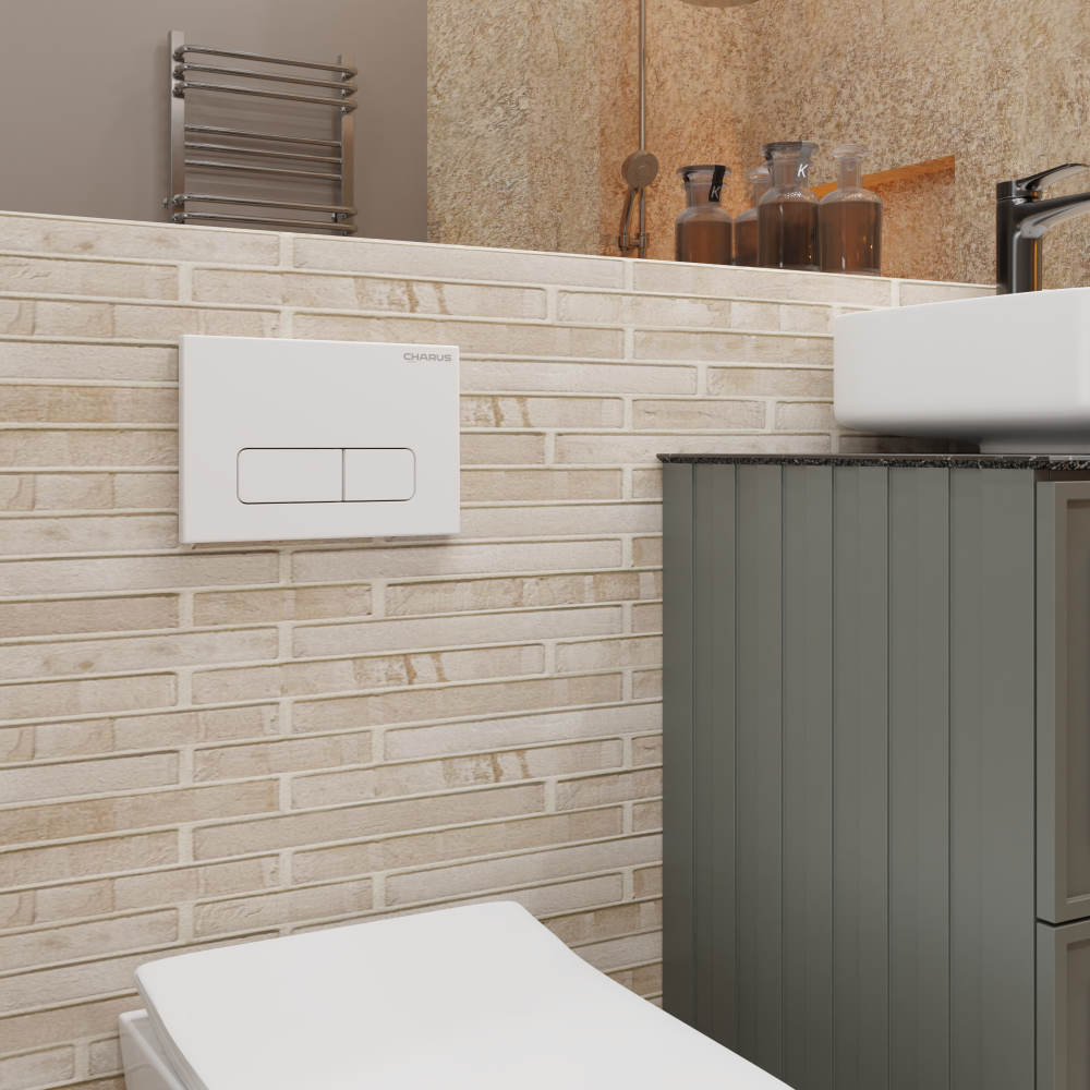 Изображение товара Панель смыва Charus FP.320.11.01 цвет белый