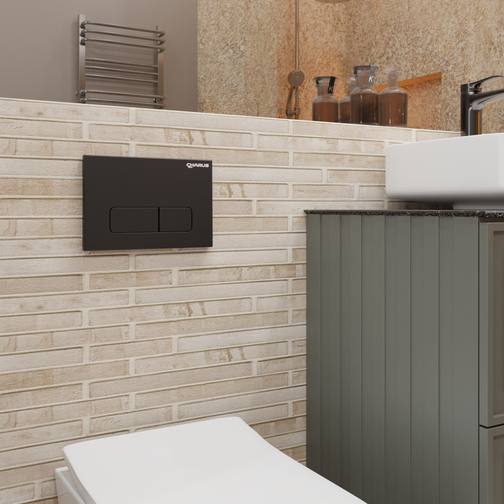 Изображение товара Панель смыва Charus FP.320.DW.01 цвет черный