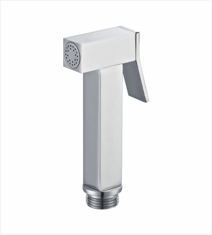 Изображение товара Гигиеническая лейка RAGLO ХРОМ R460.04