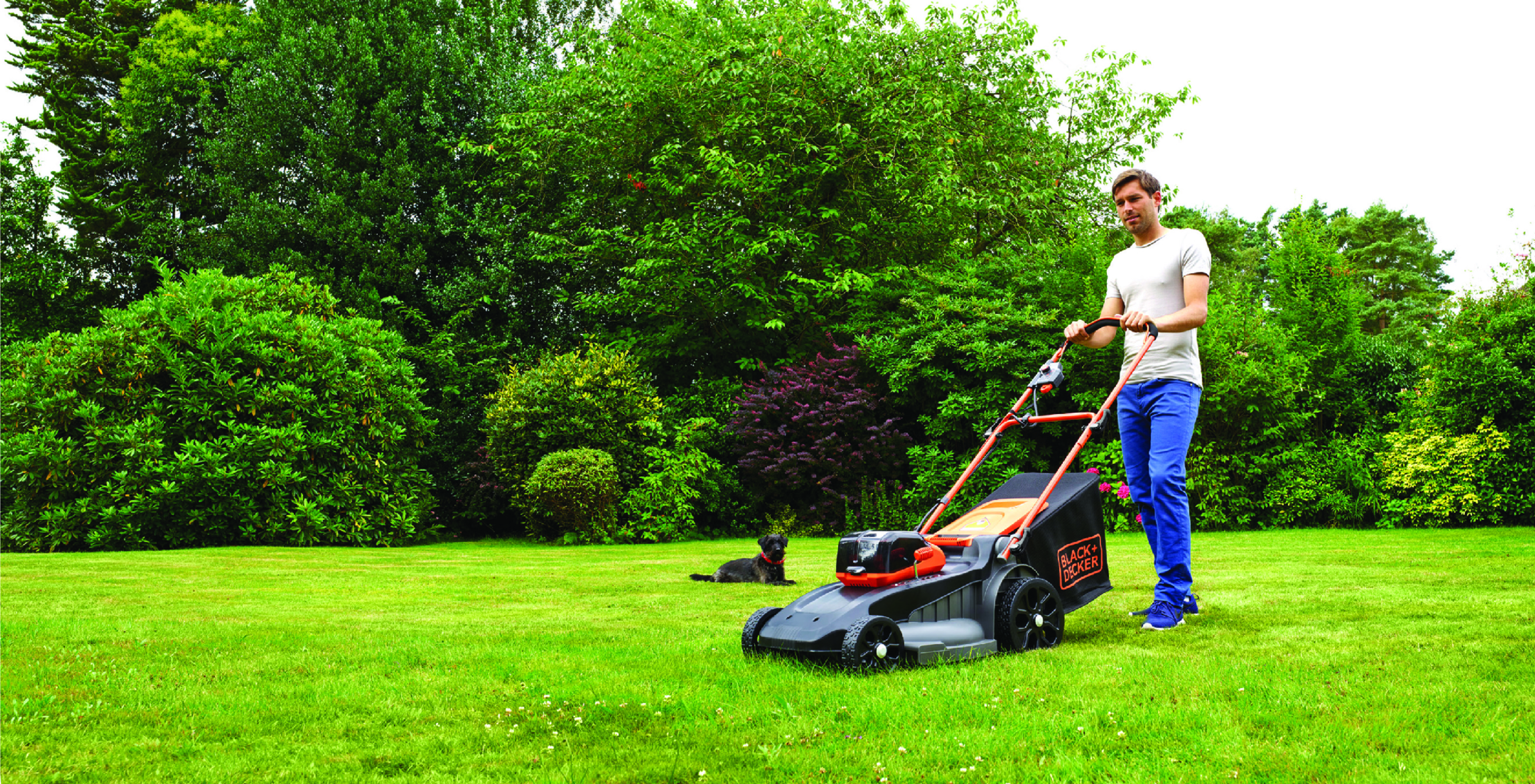 Изображение товара Газонокосилка аккумуляторная Black+Decker CLM5448PC2 с двумя аккумуляторами