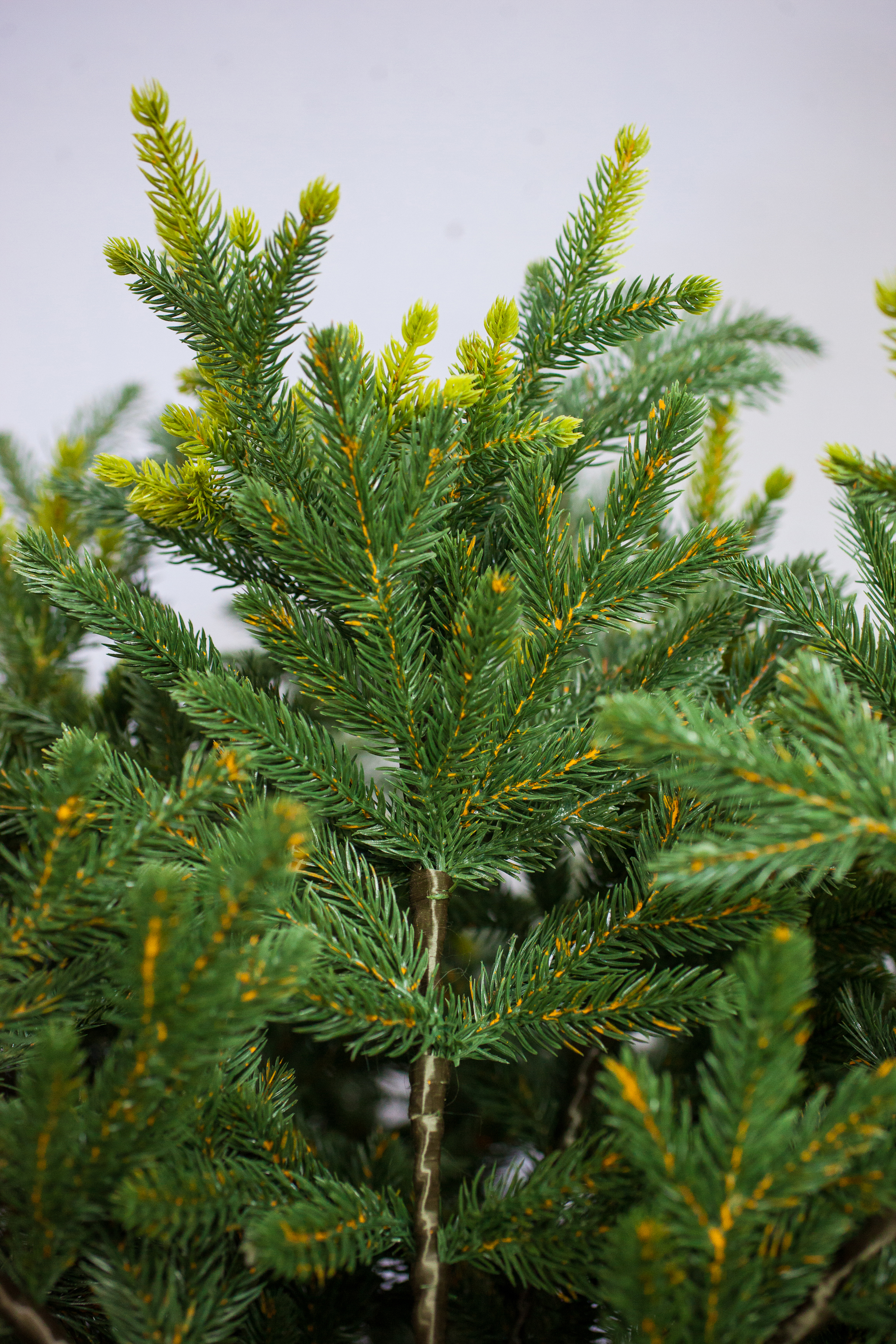 Изображение товара Искусственная ель Mag2000 ЛЛОРРЕЙН-150 Лоррейн-150 см