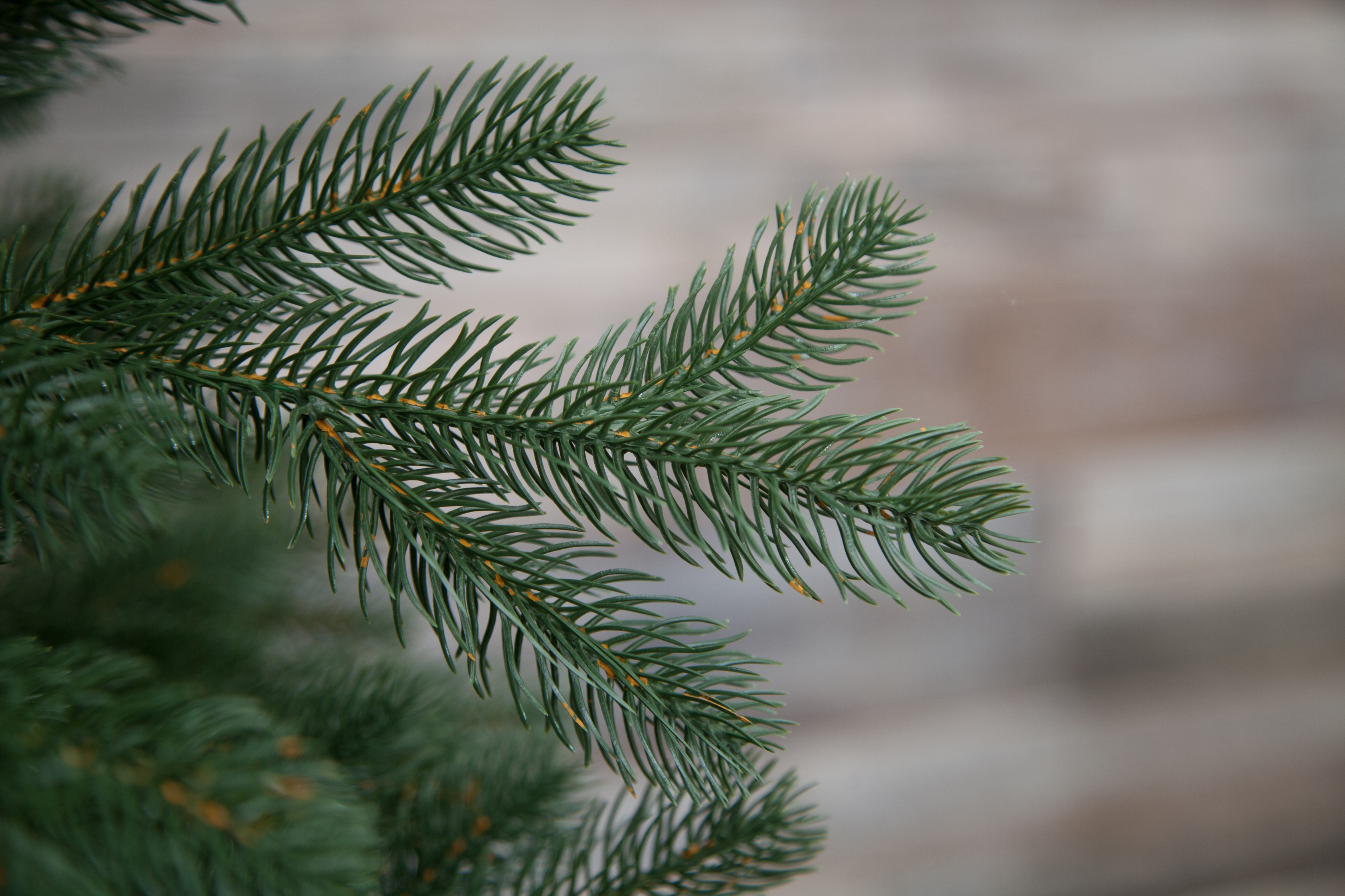 Изображение товара Ель новогодняя искусственная Black box 74622 Швейцарская стройная 185 см