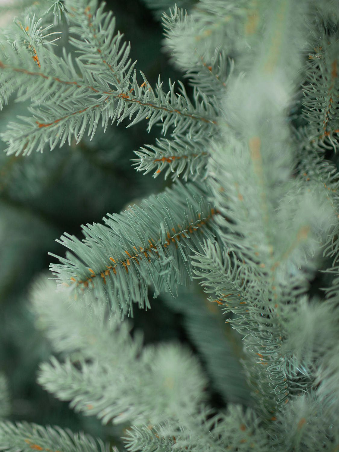 Изображение товара Ель комнатная искусственная Гринтриз Премиум 180 см Голубой