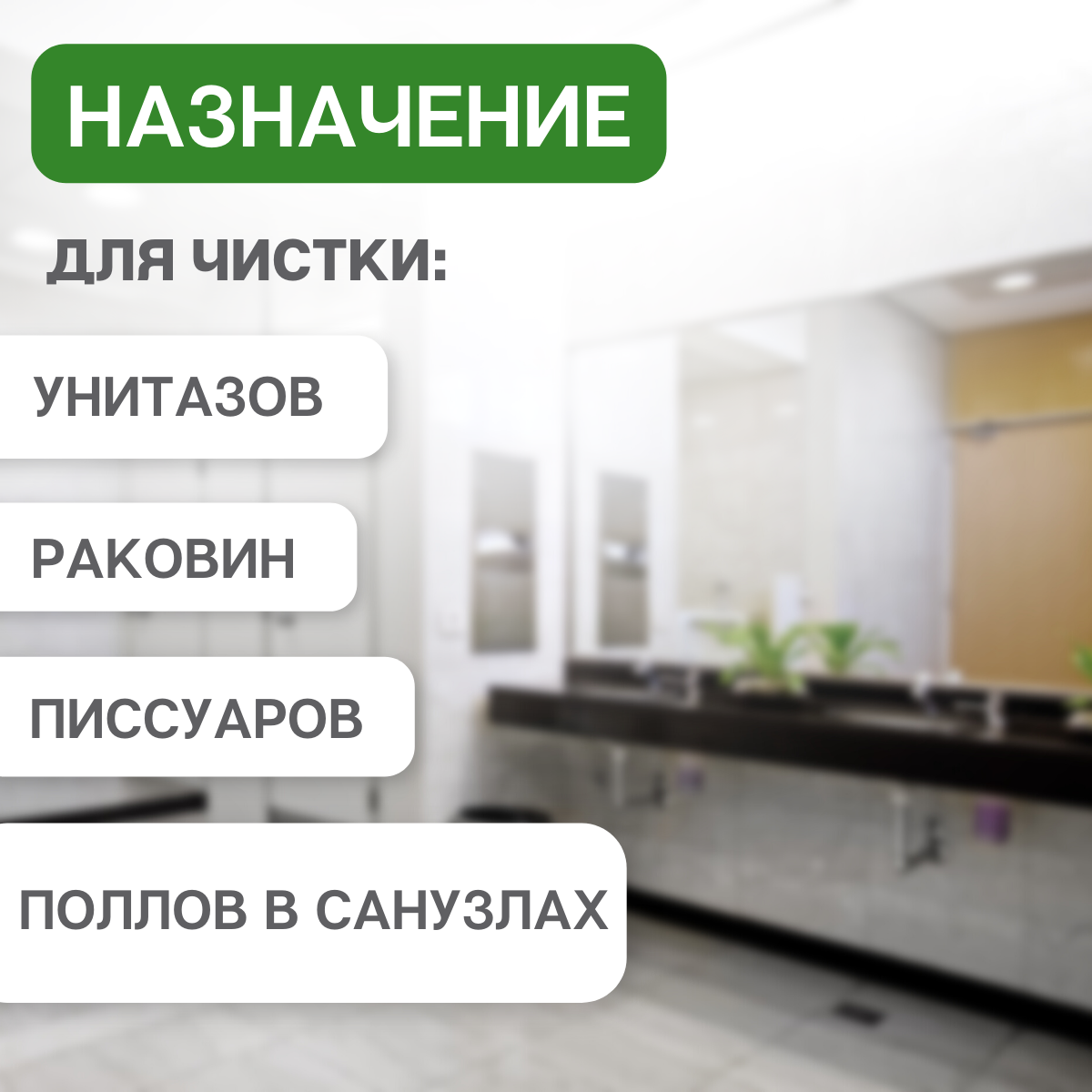 Изображение товара Средство против известковых отложений и ржавчины с бактерицидными свойствами Reva Care Professional R381000 1 л
