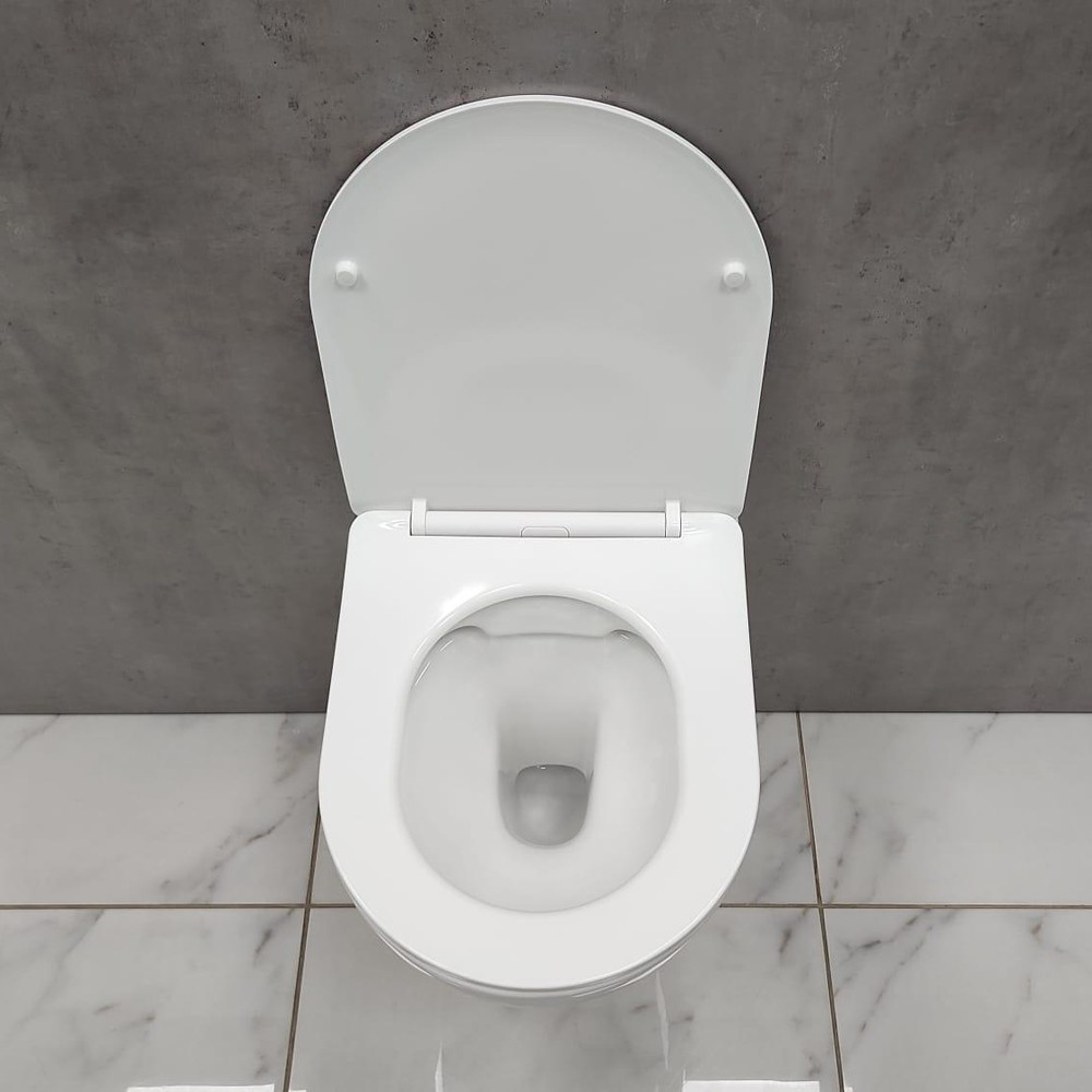 Изображение товара Комплект инсталляция Geberit 458.124.21.1 с унитазом Bloomix Trend 1203 безободковый белый Россия