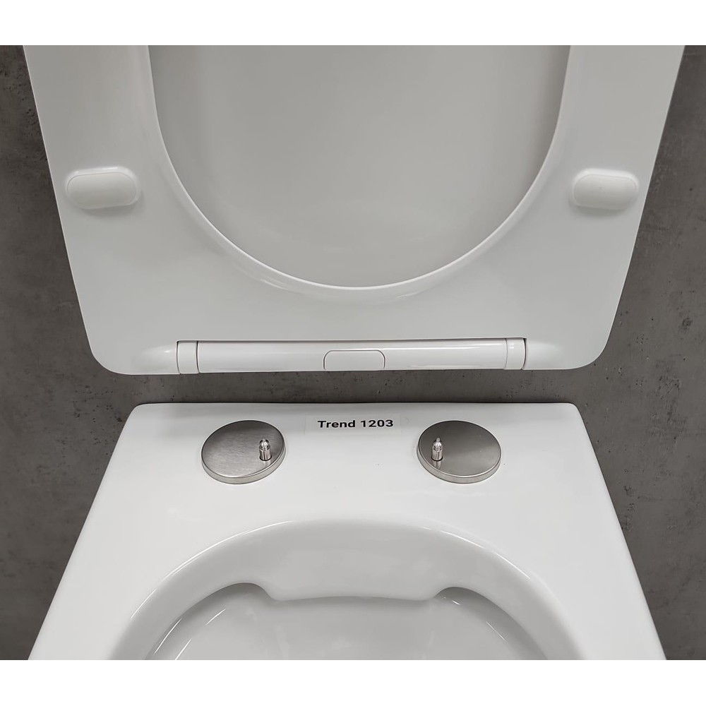 Изображение товара Комплект инсталляция Geberit с унитазом Bloomix Trend 1203 безободковый