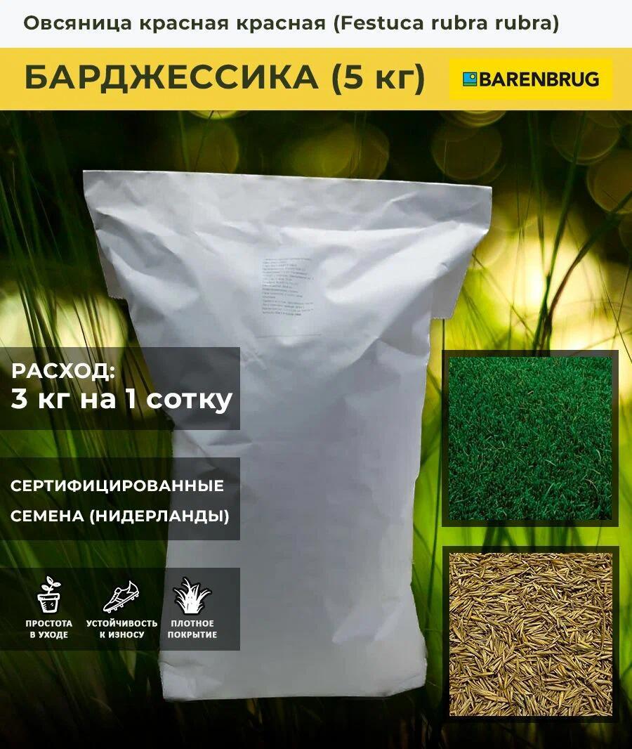 Изображение товара Семена газона Овсяница красная сорт Барджессика Barenbrug 5 кг