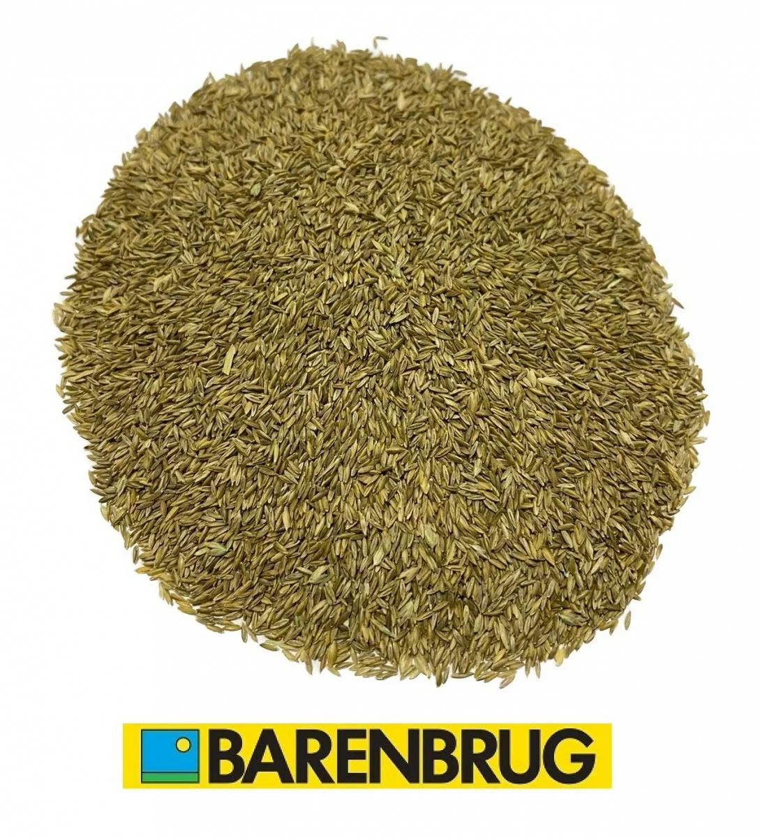Семена газона Barenbrug Мятлик луговой 5 кг ️ купить по цене 11000 ₽/шт ...