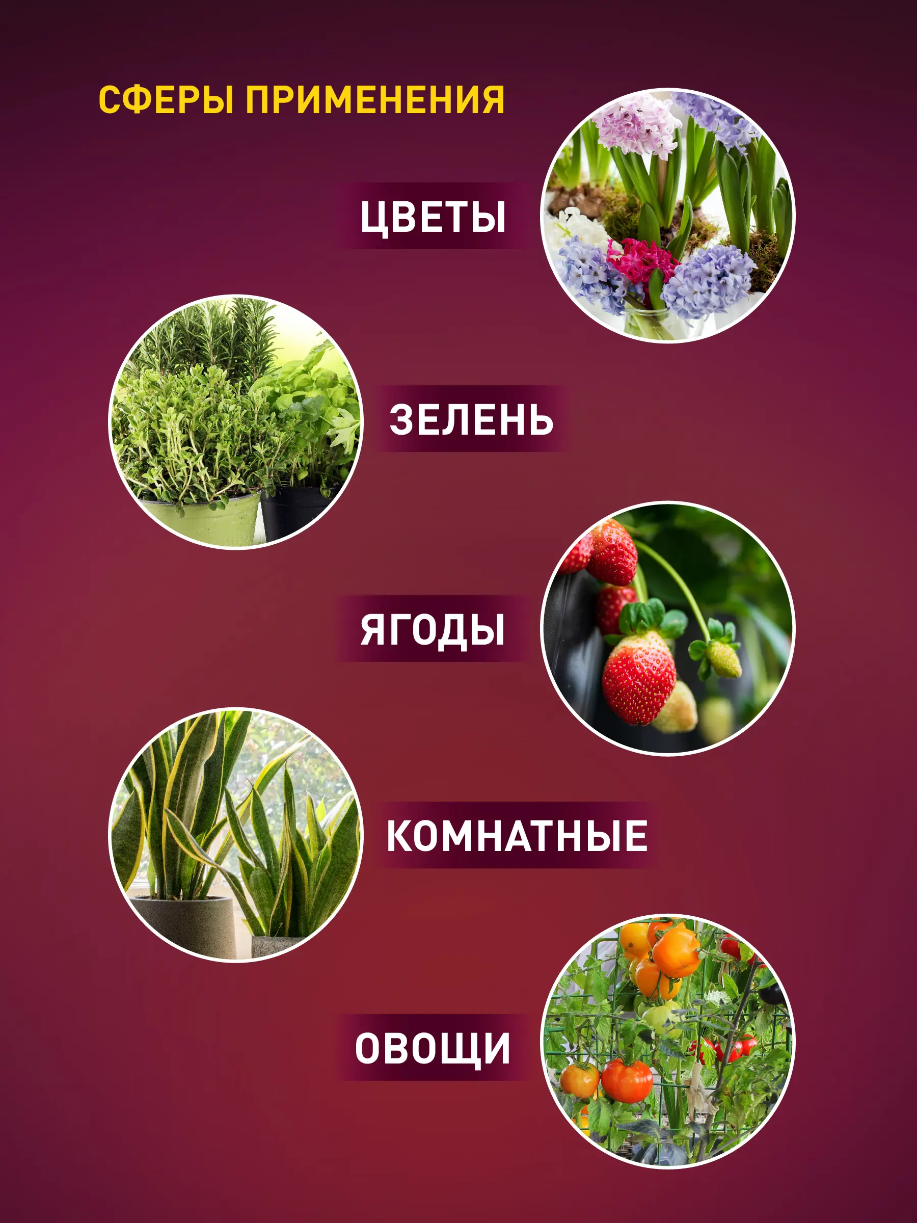 Фитолампа светодиодная для растений Эра E27 24 Вт клевер красно-синего спектра для рассады фиолетовый свет - 9