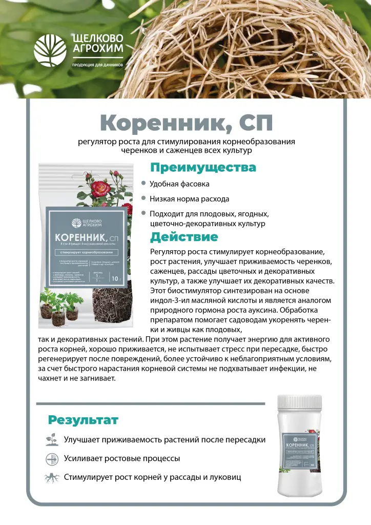 Стимулятор корнеобразования 50 г - 1