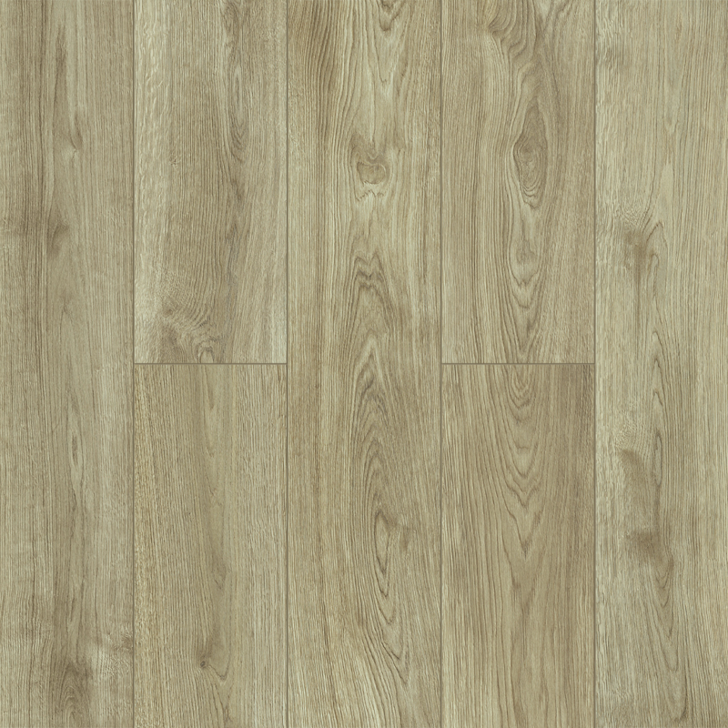 Изображение товара Ламинат Classen Pride Дуб Кампо 33 класс 8 мм с фаской водостойкий и прочный