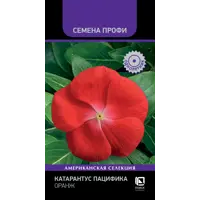 Изображение товара Семена цветов Поиск катарантус Пацифика Оранж 10 шт.