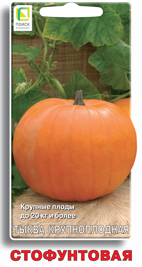 Изображение товара Семена овощей Поиск тыква крупноплодная Стофунтовая