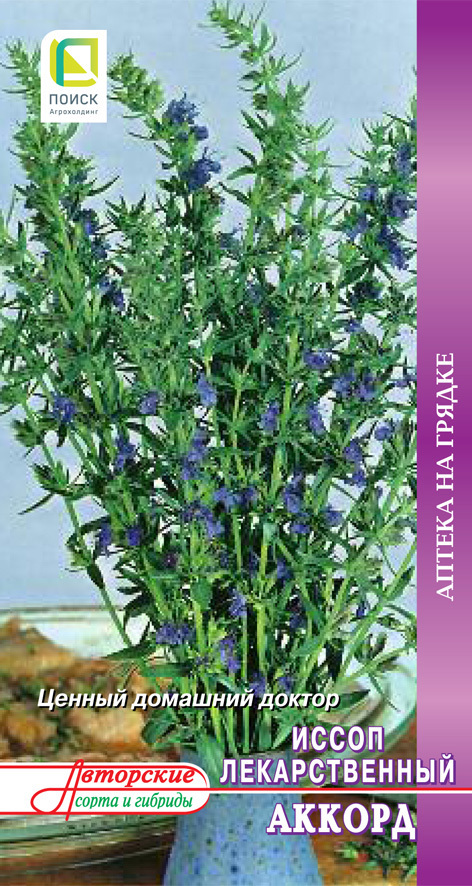 Изображение товара Семена трав Поиск иссоп лекарственный Аккорд