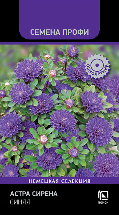 Изображение товара Семена цветов Поиск астра Сирена синяя