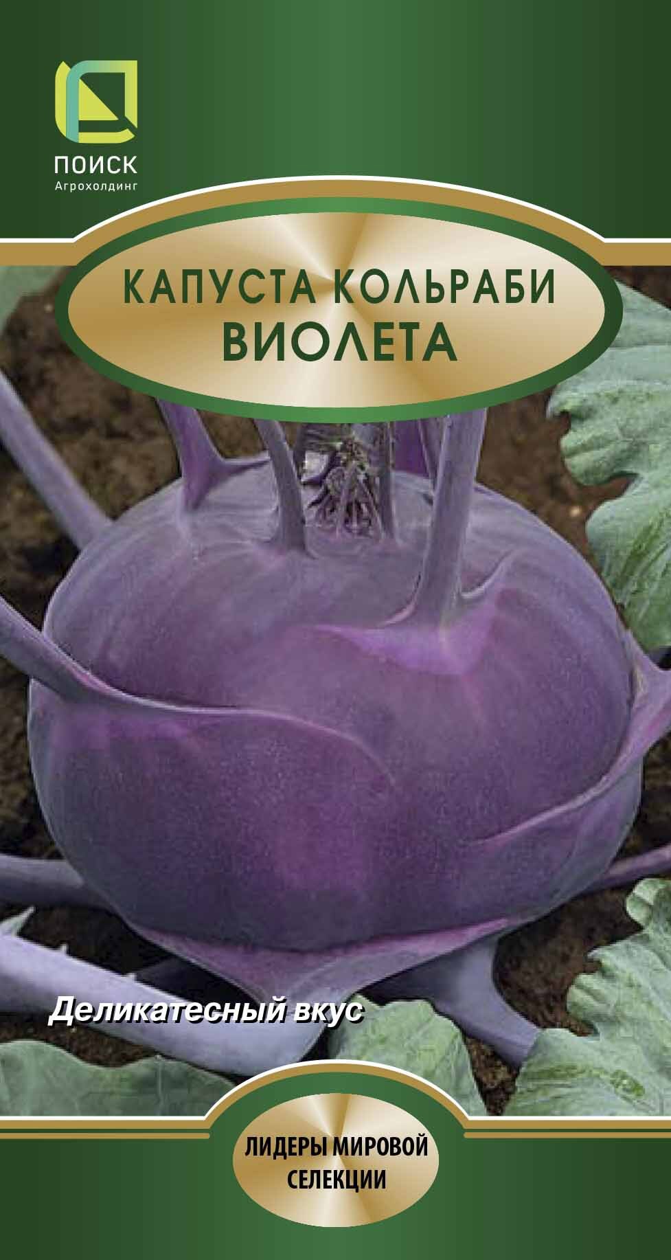 Изображение товара Семена овощей Поиск капуста кольраби Виолета
