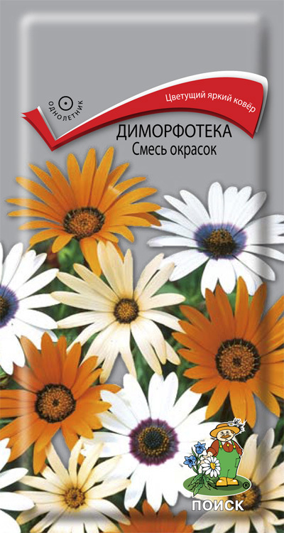 Изображение товара Семена цветов Поиск диморфотека микс