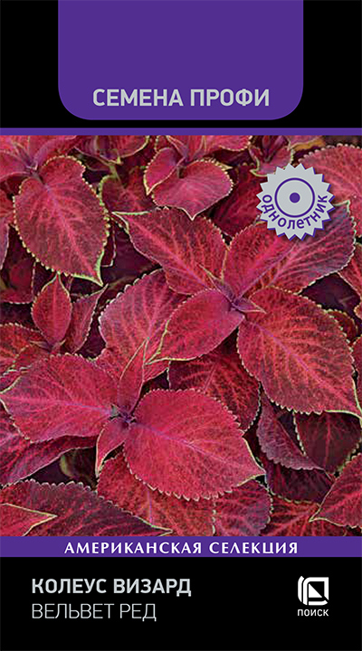 Изображение товара Семена цветов Поиск колеус Визард Вельвет Ред 10 шт.