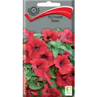 Изображение товара Семена цветов Поиск петуния Пламя