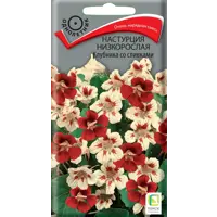 Изображение товара Настурция низкорослая Пацифика вайт — компактные цветы для балконов и контейнеров