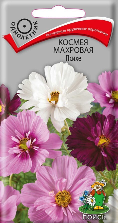 Изображение товара Семена цветов Поиск космея махровая Психе