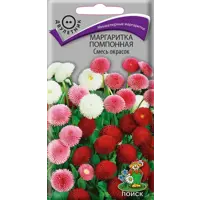 Изображение товара Семена цветов Поиск маргаритка помпонная микс