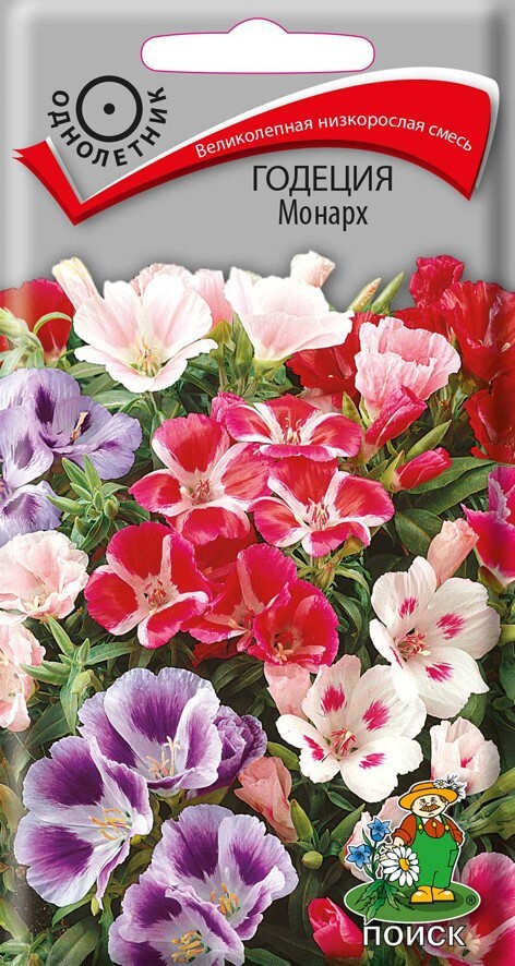 Изображение товара Семена цветов Поиск годеция Монарх