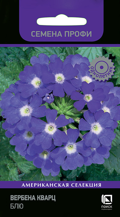 Изображение товара Семена цветов Поиск вербена Кварц Блю 10 шт.