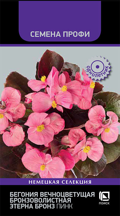 Изображение товара Семена цветов Поиск бегония вечноцветущая брон.Этерна Бронз Пинк