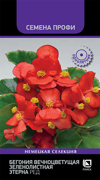 Изображение товара Семена цветов Поиск бегония вечноцветущая зеленолистная Этерна Ред