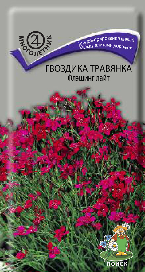 Изображение товара Семена цветов Поиск гвоздика травянка Флэшинг Лайт
