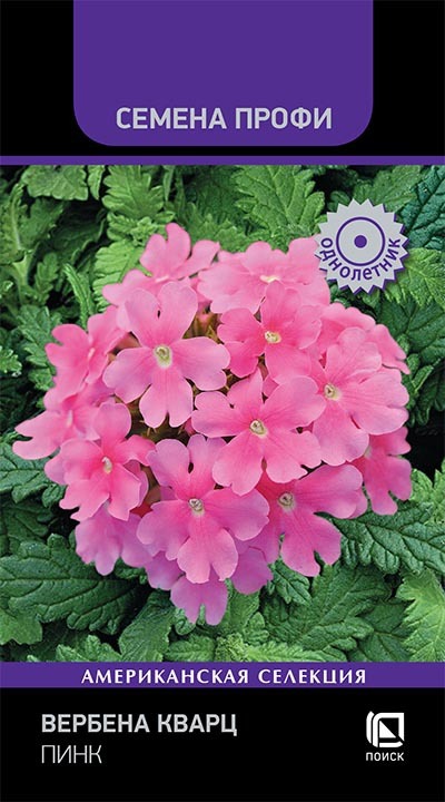 Изображение товара Семена цветов Поиск вербена Кварц Пинк 10 шт.