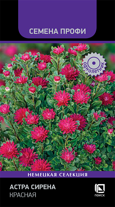 Изображение товара Семена цветов Поиск астра Сирена красная
