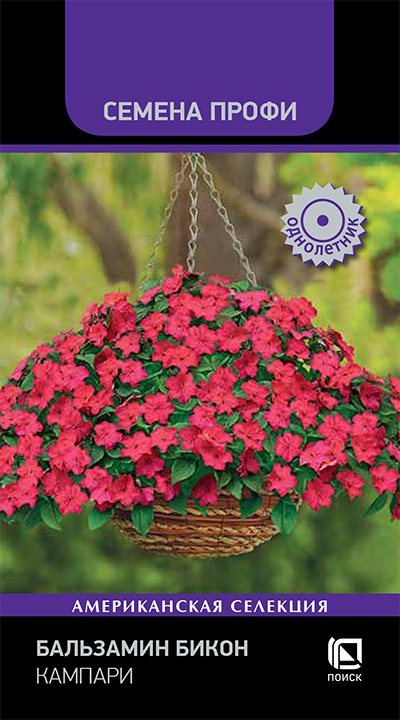 Изображение товара Поиск Бальзамин Бикон Кампари 7 шт. — обильное цветение, 30 см, синий