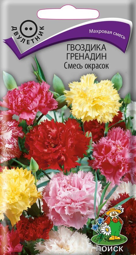 Изображение товара Семена цветов Поиск гвоздика Гренадин микс