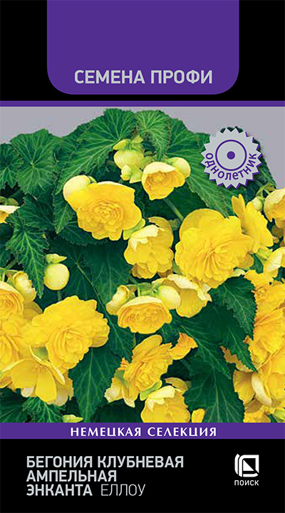 Изображение товара Семена цветов Поиск бегония клубневая ампельная Энканта Еллоу