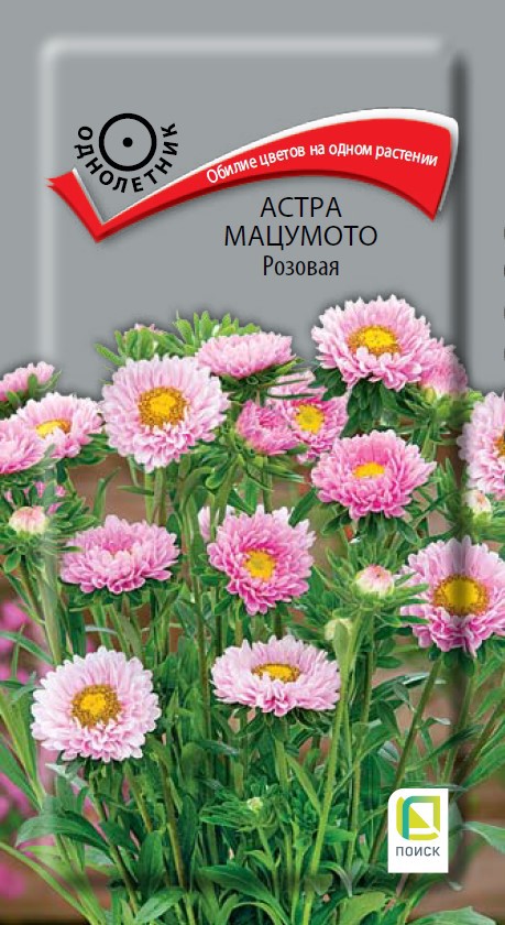 Изображение товара Семена цветов Поиск астра Мацумото розовый