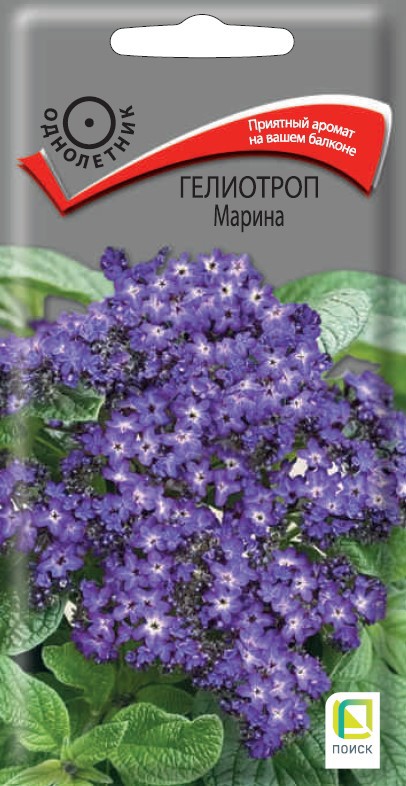 Изображение товара Семена цветов Поиск гелиотроп Марина