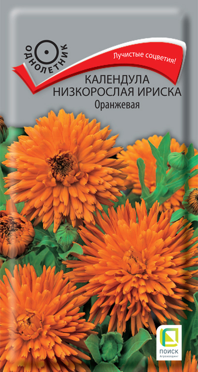 Изображение товара Семена цветов Поиск календула низкорослая Ириска Оранжевая